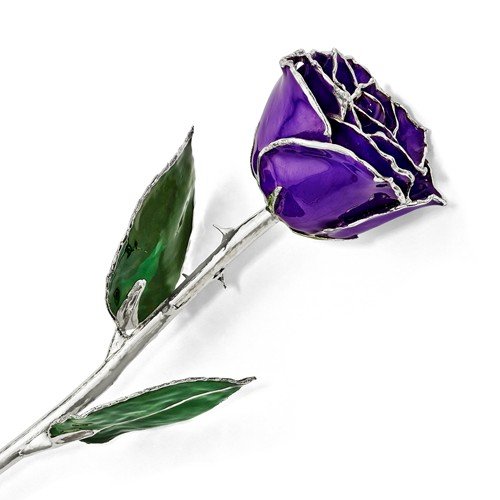 https://www.arthursjewelers.com/content/images/thumbs/Original/Platinum Lilac Rose-19362236.jpg